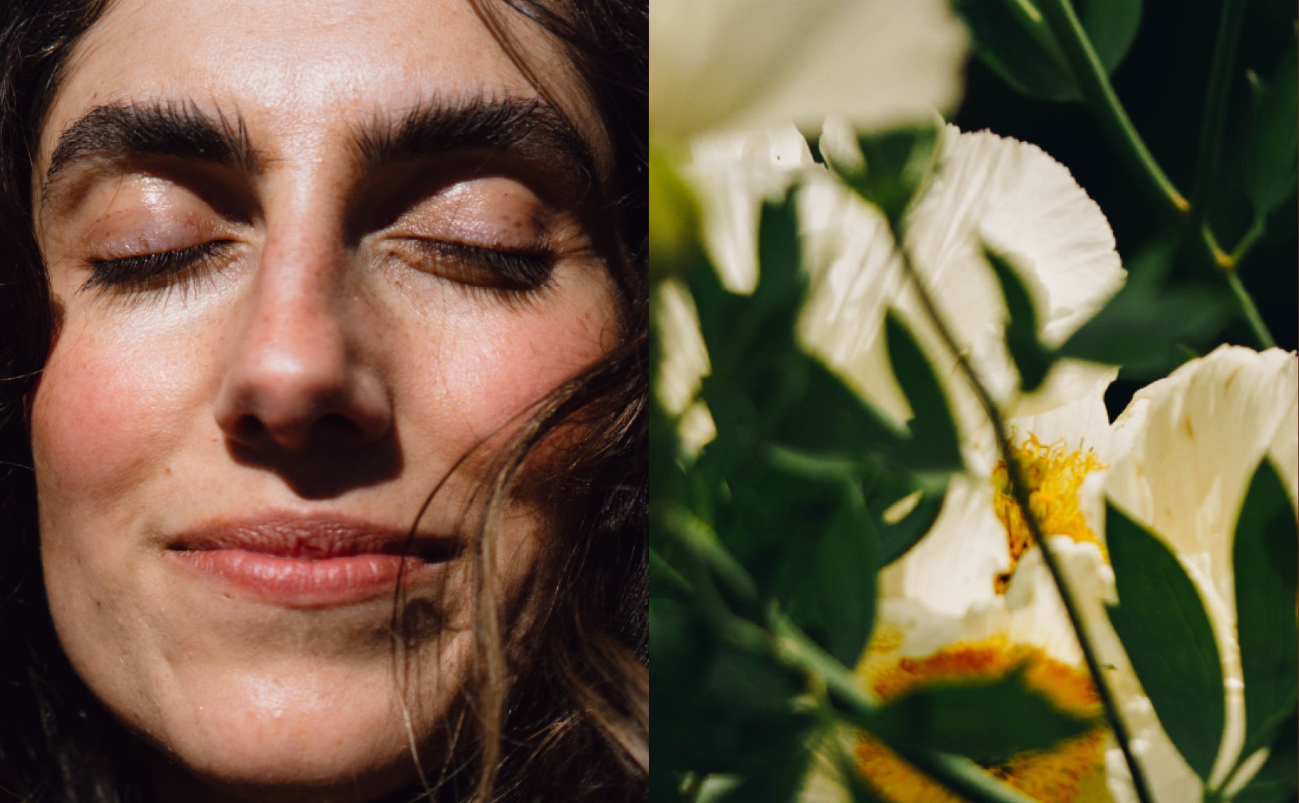2024 — Clean living with Kinfill