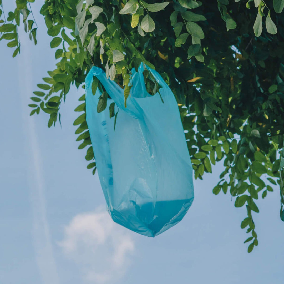 Plastic in the skies