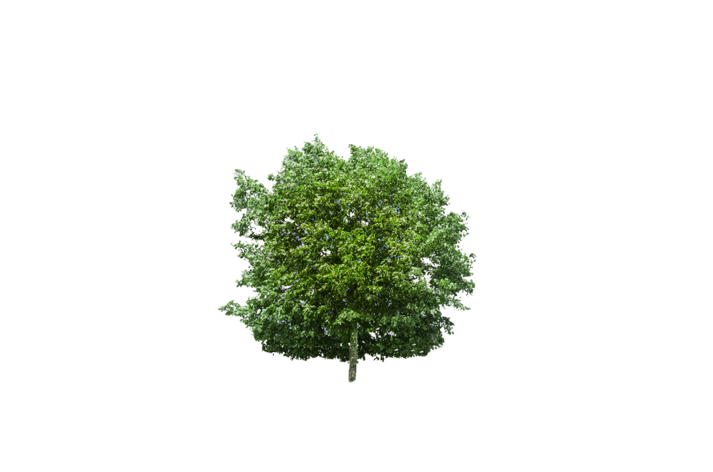 CO2 Saved