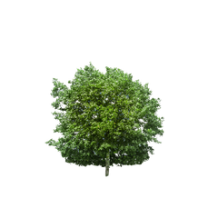 CO2 saved