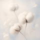 Cotton Breeze