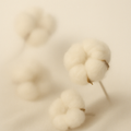Cotton Cloud