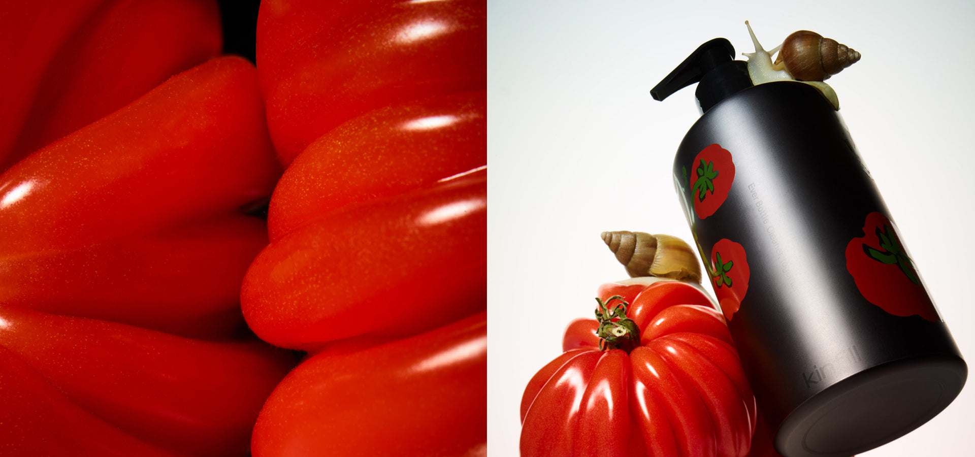 Tomato — Sweet, green and alive