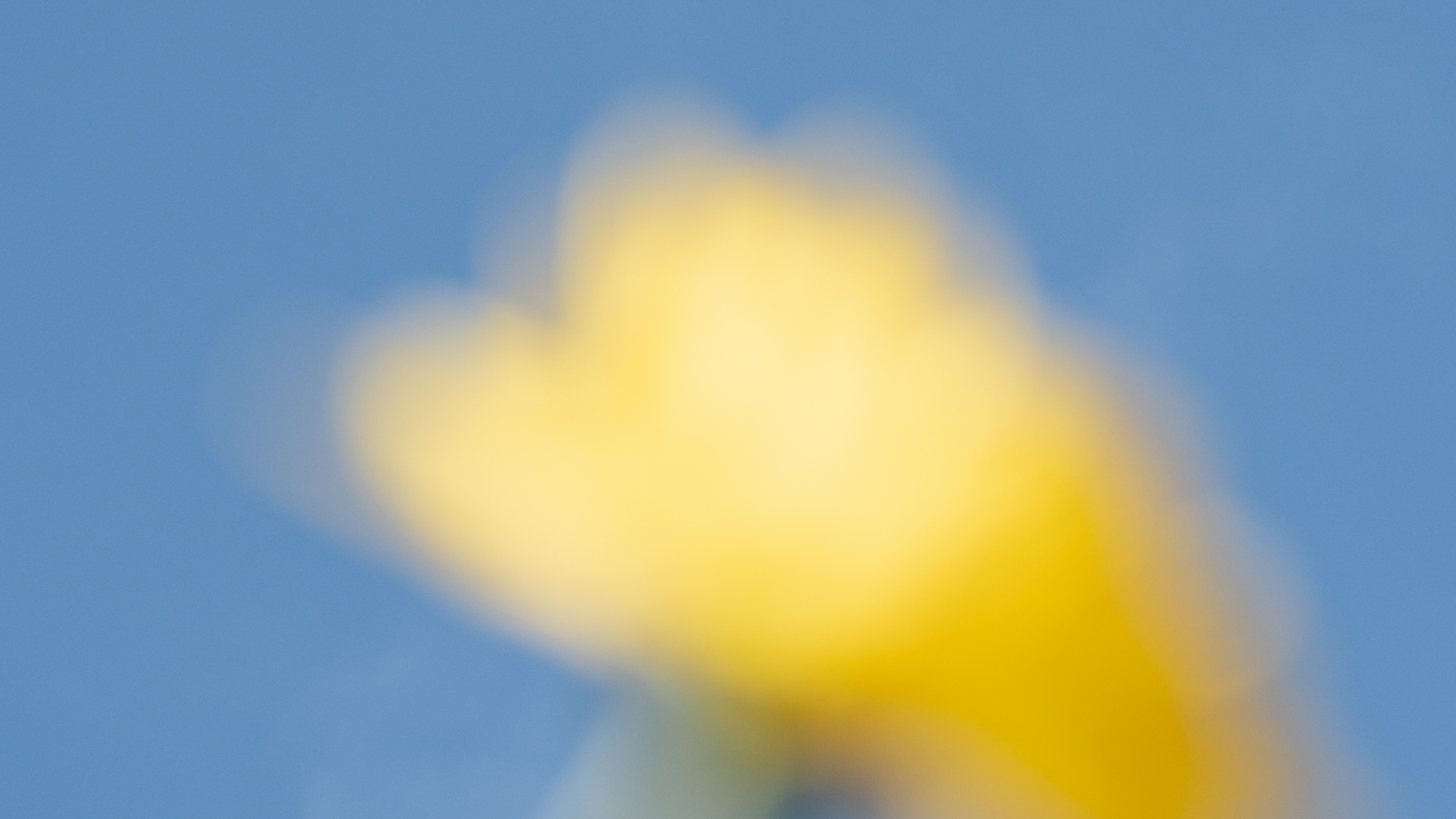 Waarom kiezen voor Kinfill?