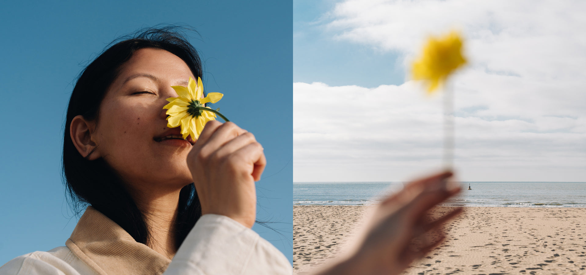 Spring sale: now 50% off subscriptions