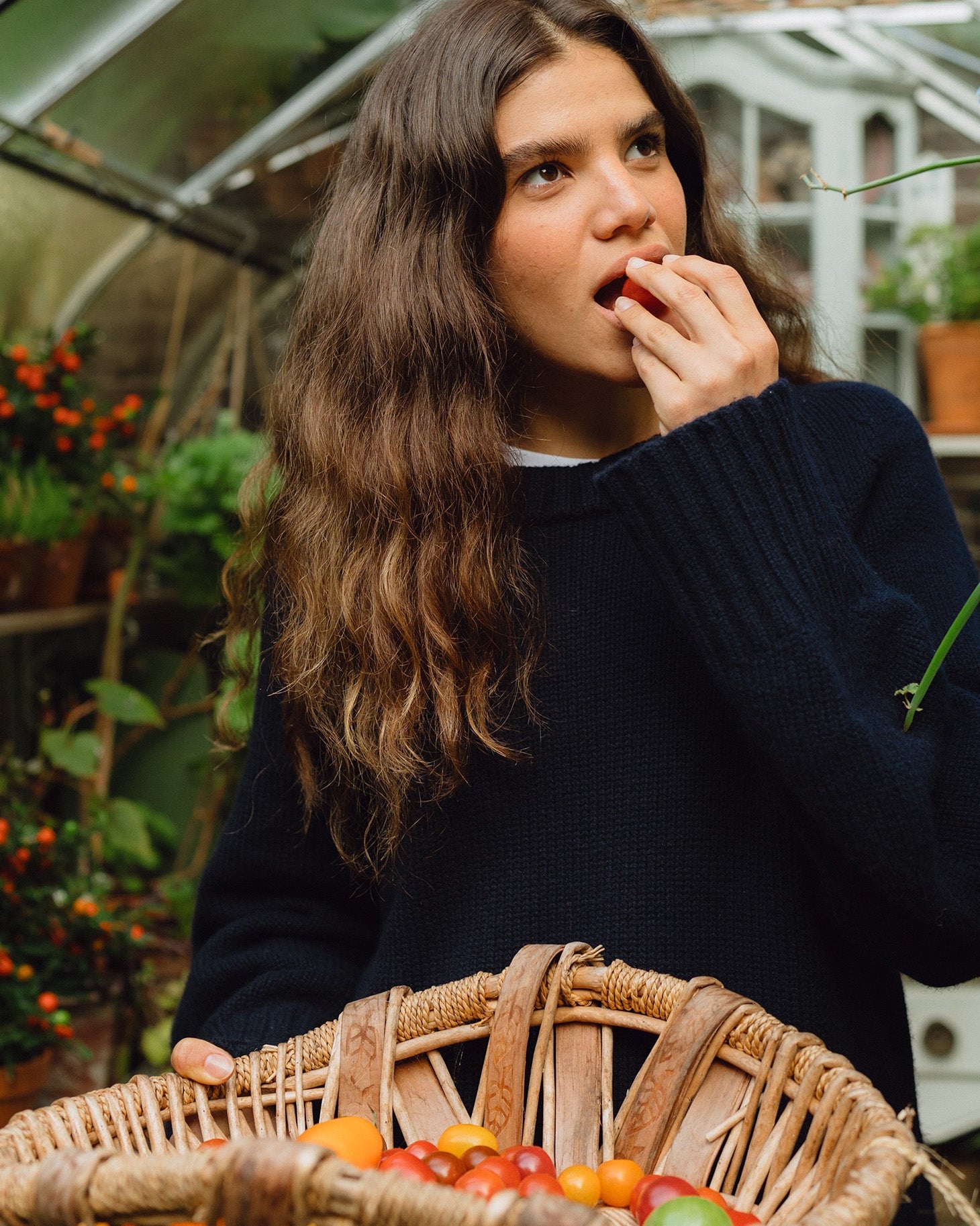 Shop the seasonal scent: Tomato