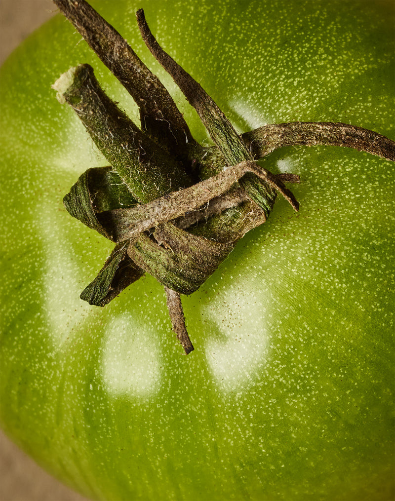 Saves 12+ plastic bottles from landfill a year