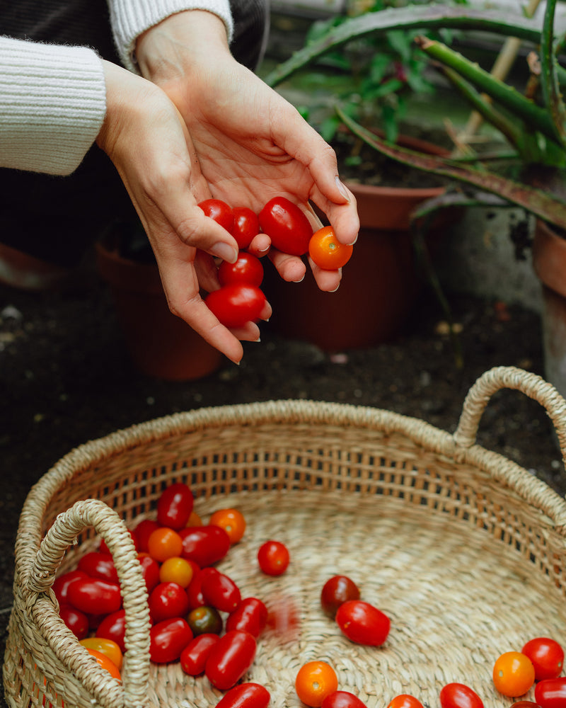 Saves 12+ plastic bottles from landfill a year