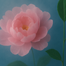 Wild Peony